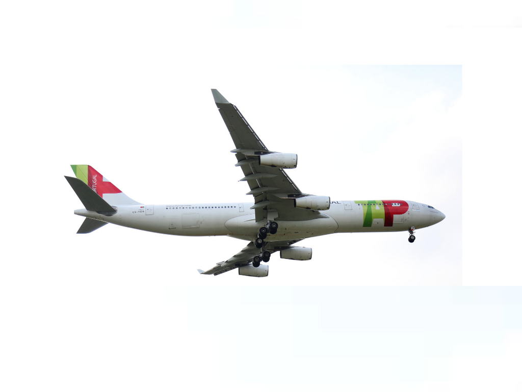 Tap air portugal news pic