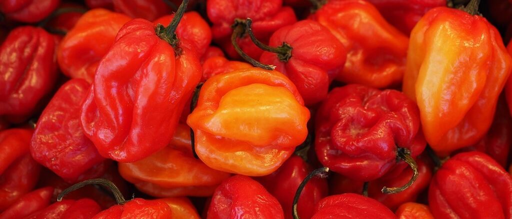 Habaneros 499057 960 720
