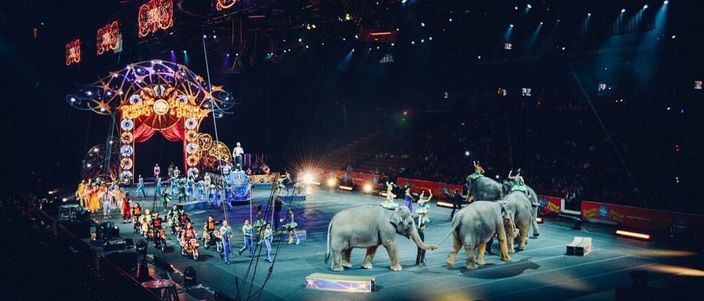 Circus